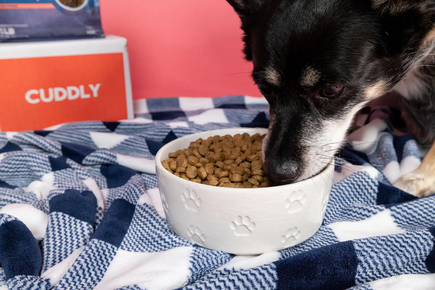 CUDDLY Salmon and Rice Dog Food CUDDLY