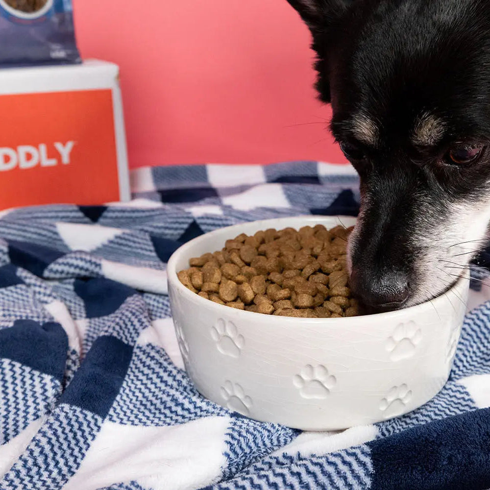 CUDDLY Salmon and Rice Dog Food CUDDLY