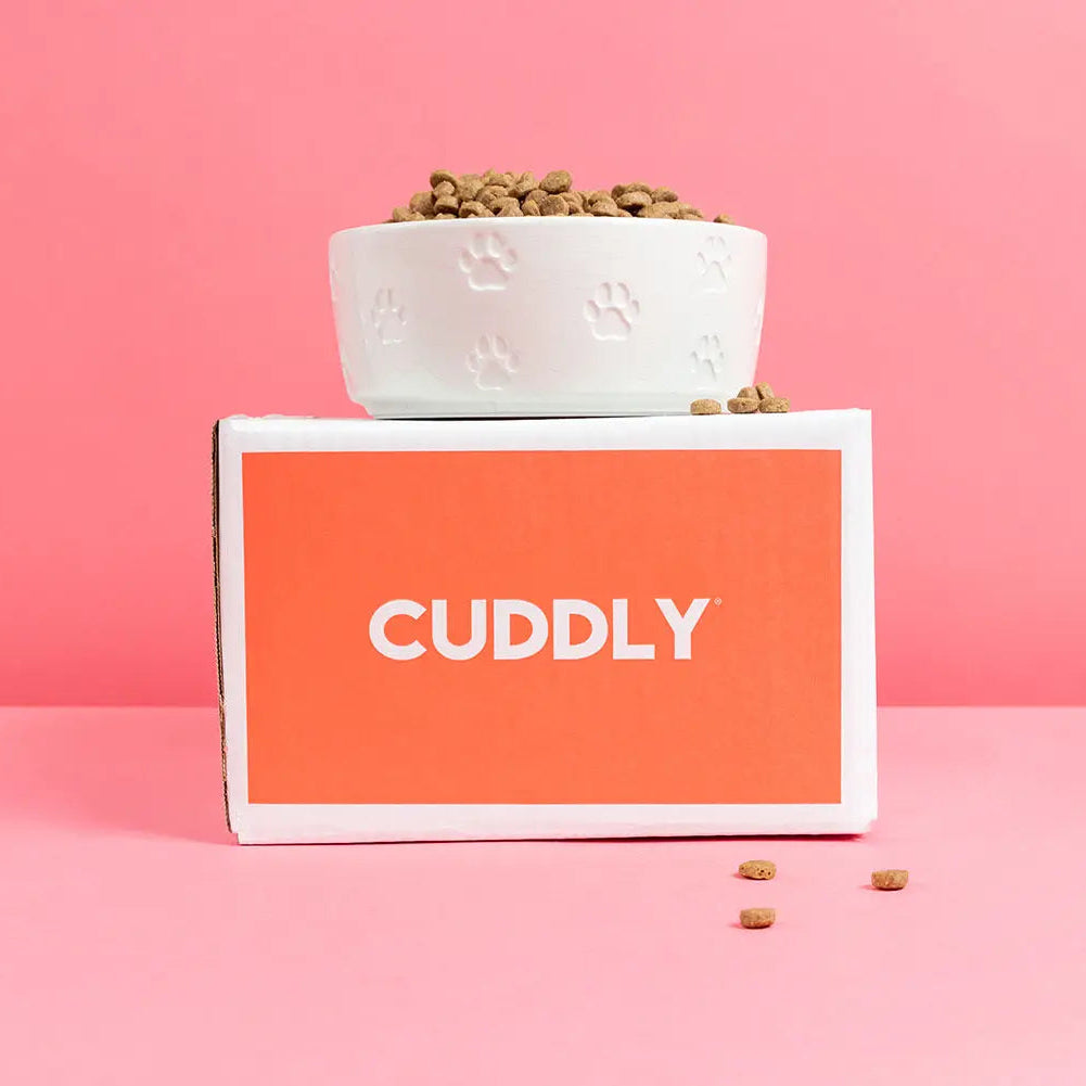 CUDDLY Salmon and Rice Dog Food CUDDLY