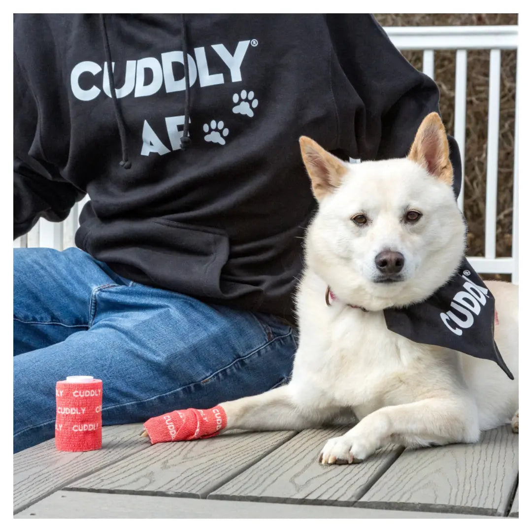 CUDDLY AF Hoodie with Paw Prints CUDDLY