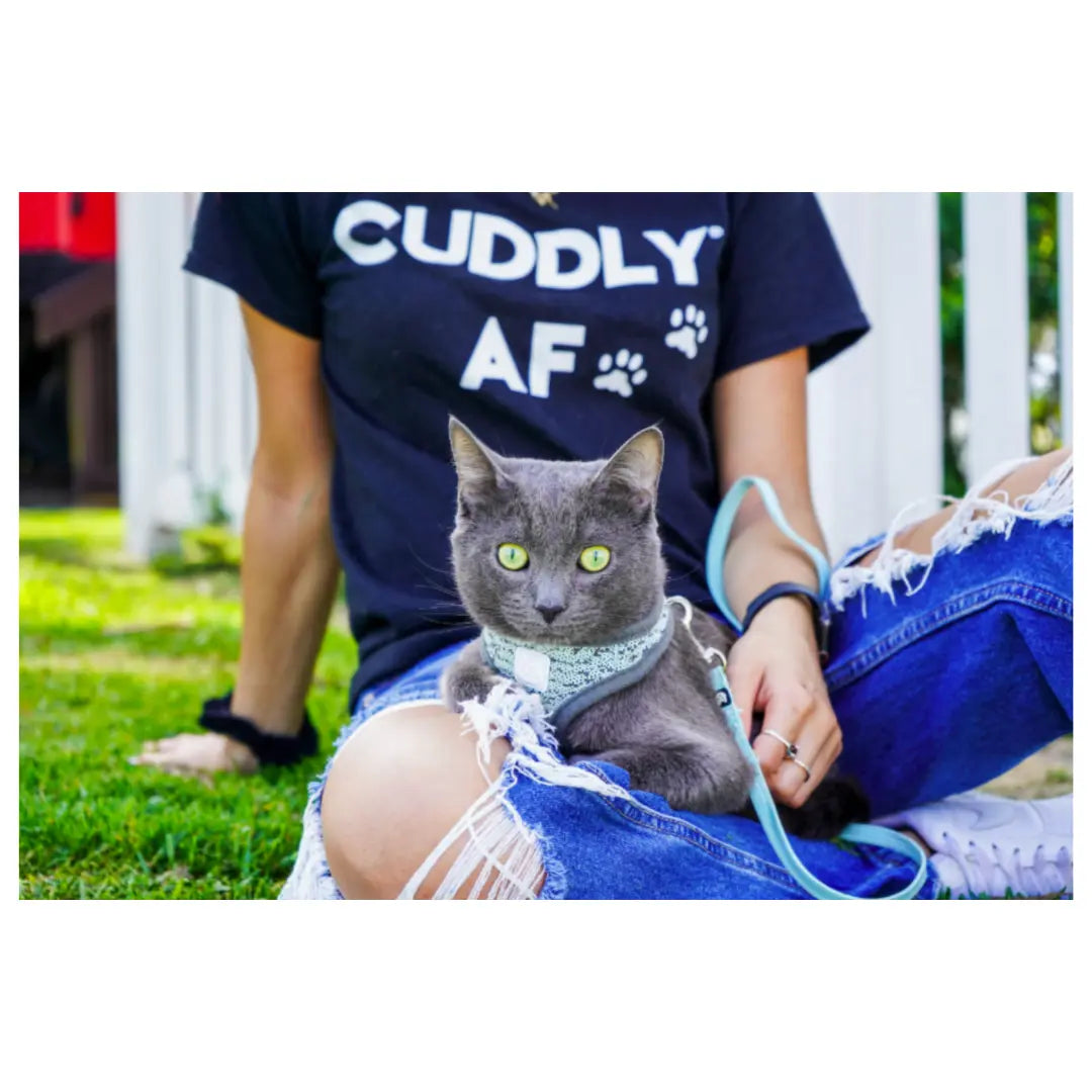 CUDDLY AF T-Shirt CUDDLY