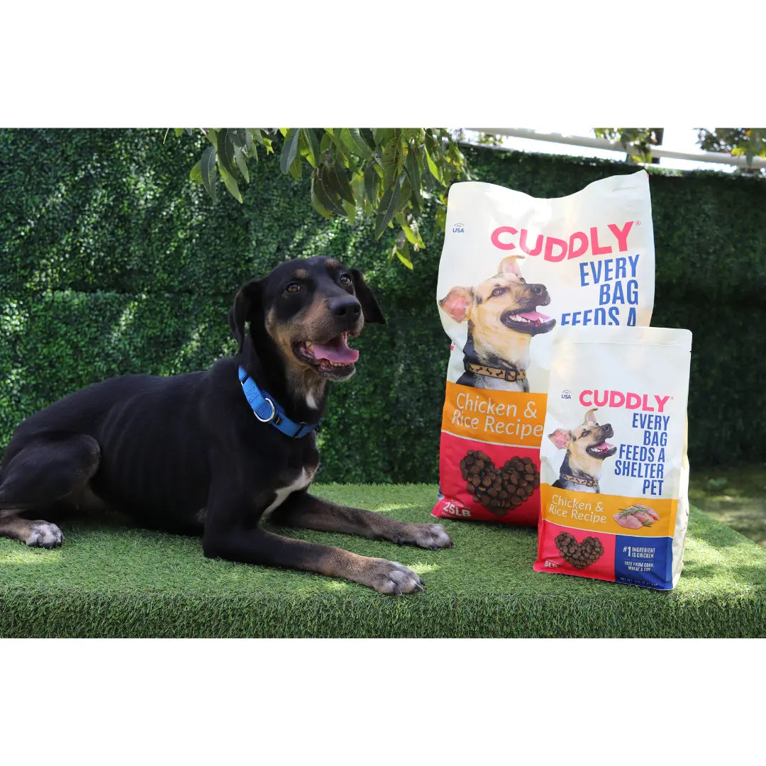CUDDLY Chicken & Rice Dry Dog Food CUDDLY