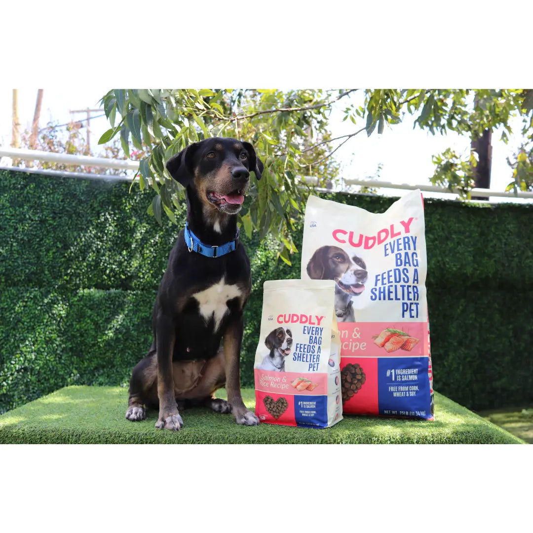 CUDDLY Salmon and Rice Dog Food CUDDLY
