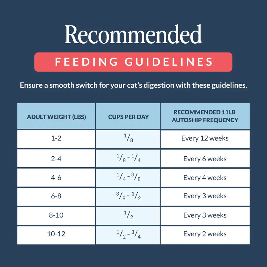 CUDDLY Seafood Medley Dry Cat Food CUDDLY