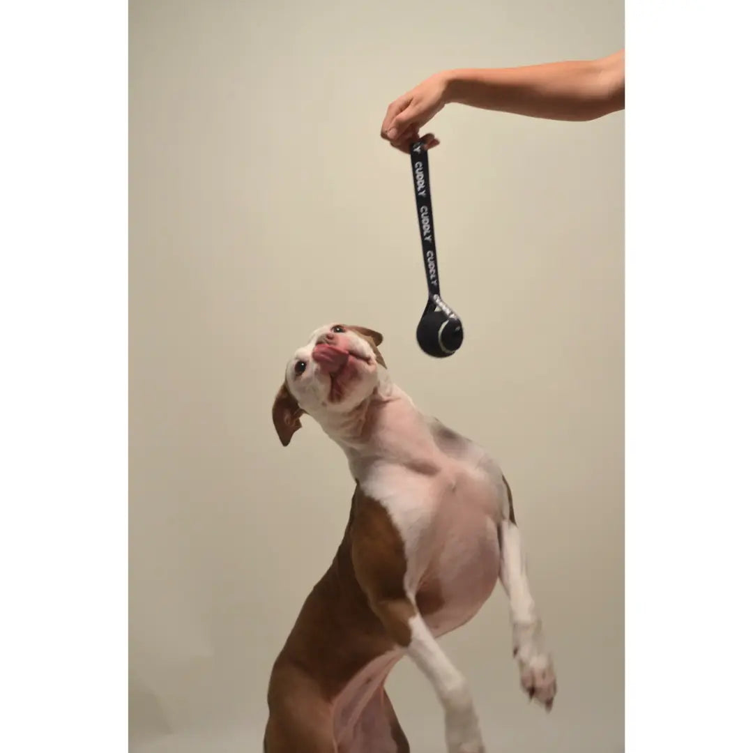 CUDDLY Tennis Ball Sling Toy CUDDLY