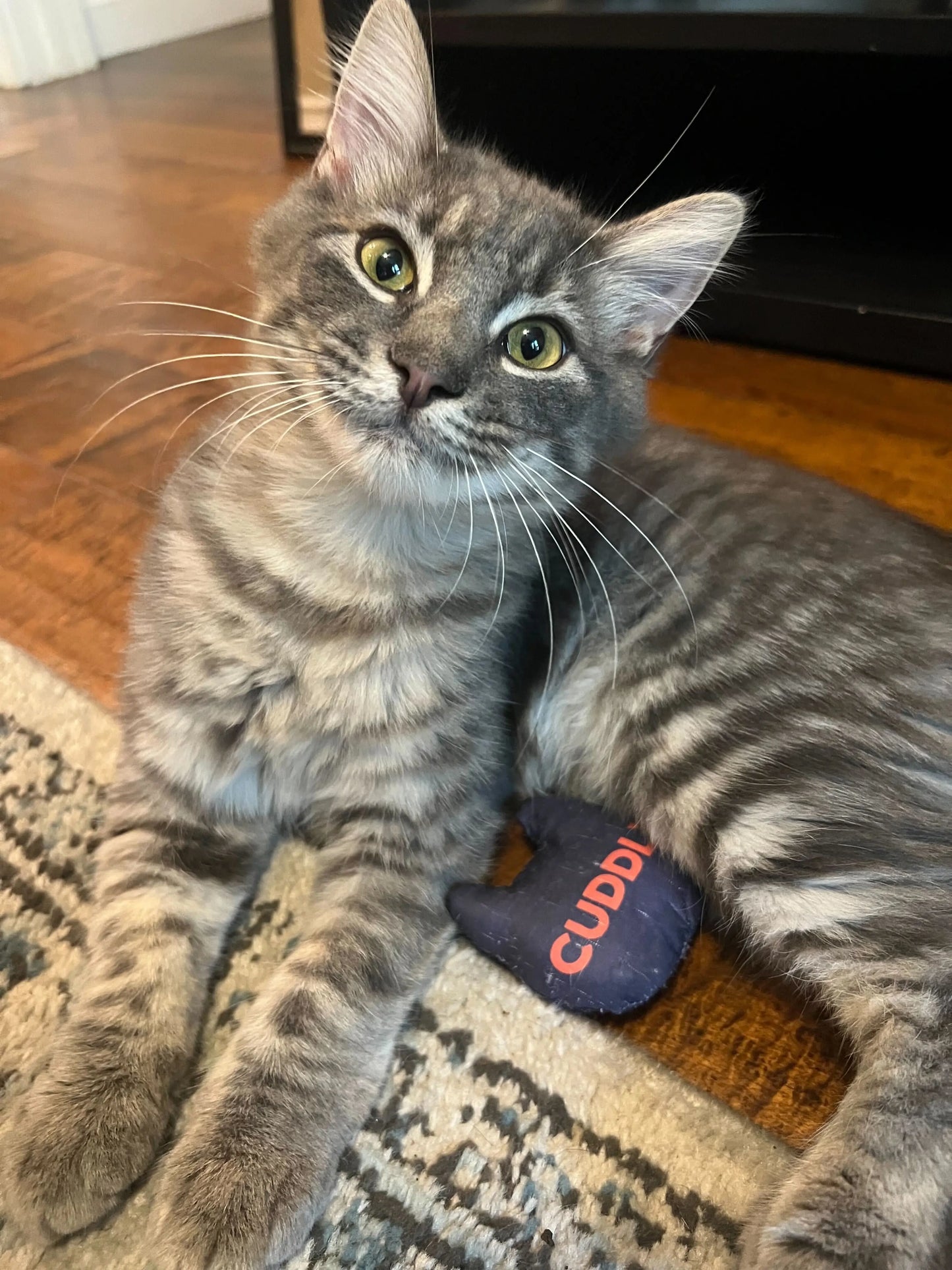 CUDDLY Catnip Toy CUDDLY