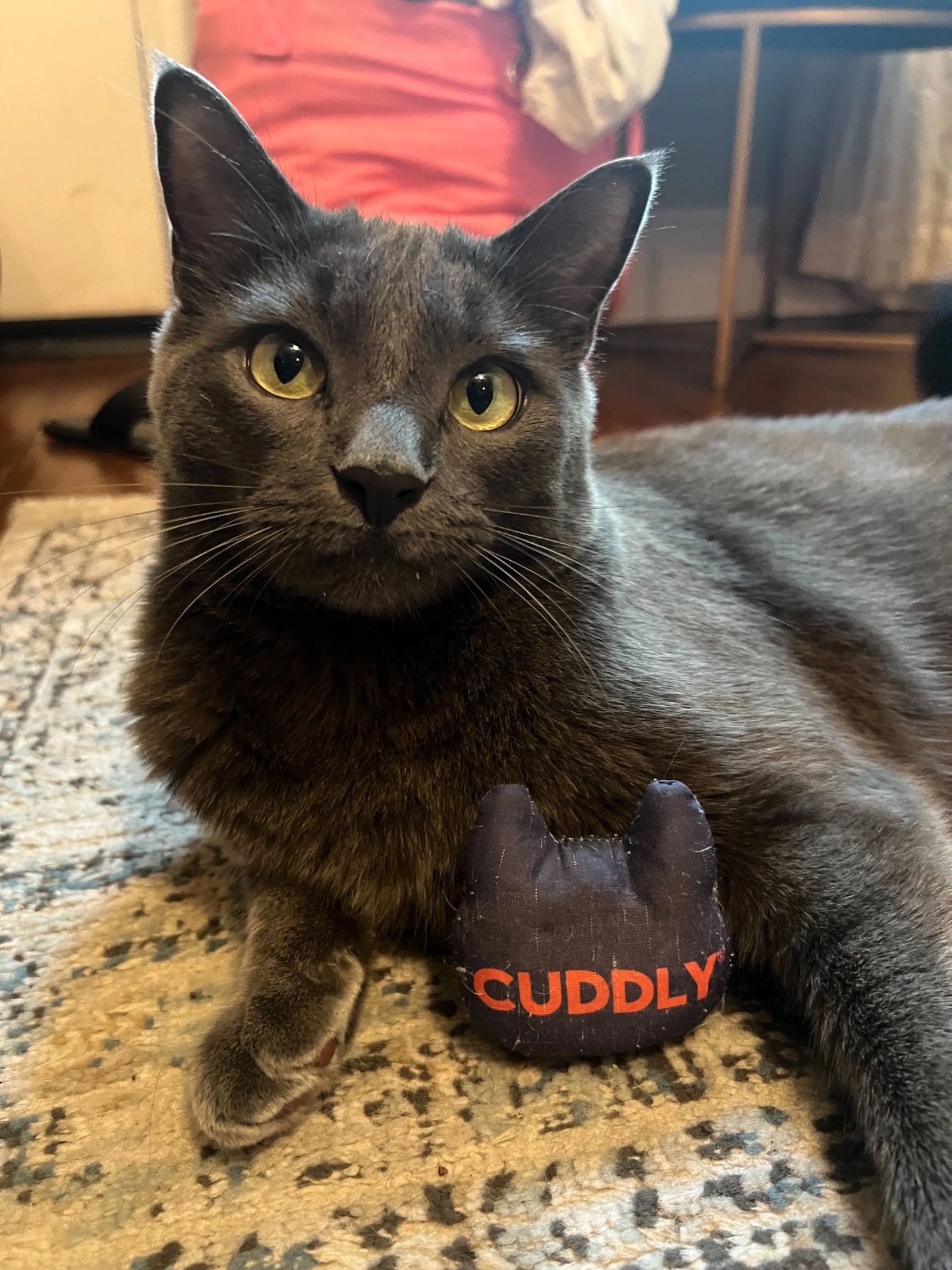 CUDDLY Catnip Toy CUDDLY