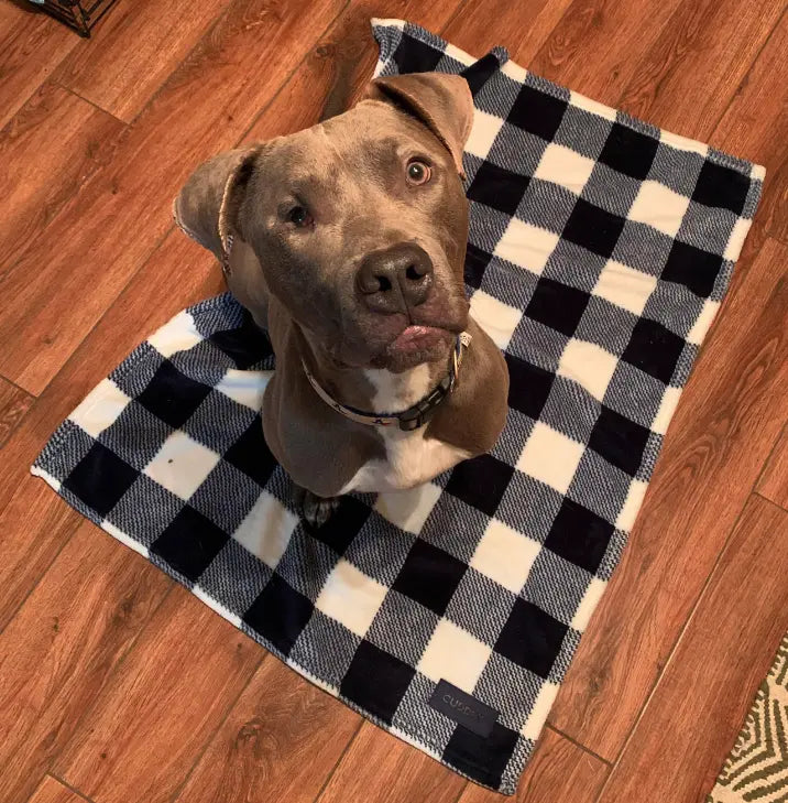 CUDDLY Navy & White Plaid Blanket CUDDLY