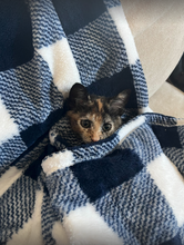 Load image into Gallery viewer, CUDDLY Navy &amp; White Plaid Blanket