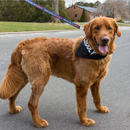 Treats Please, I'm CUDDLY Leash CUDDLY