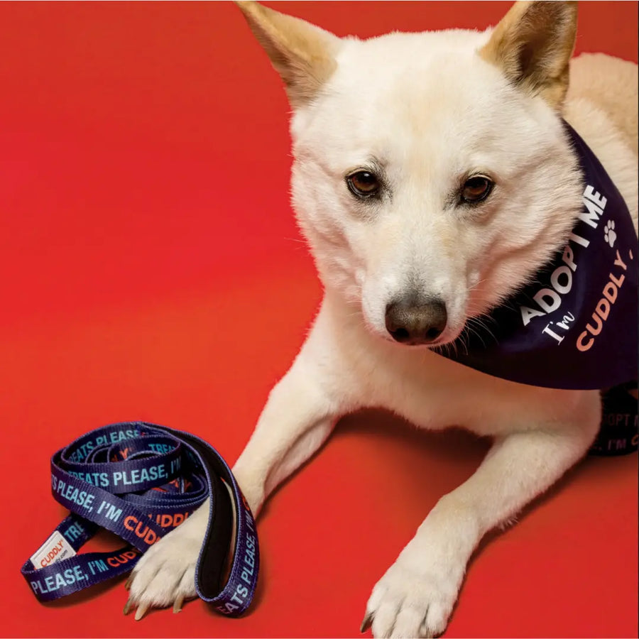 Treats Please, I'm CUDDLY Leash CUDDLY