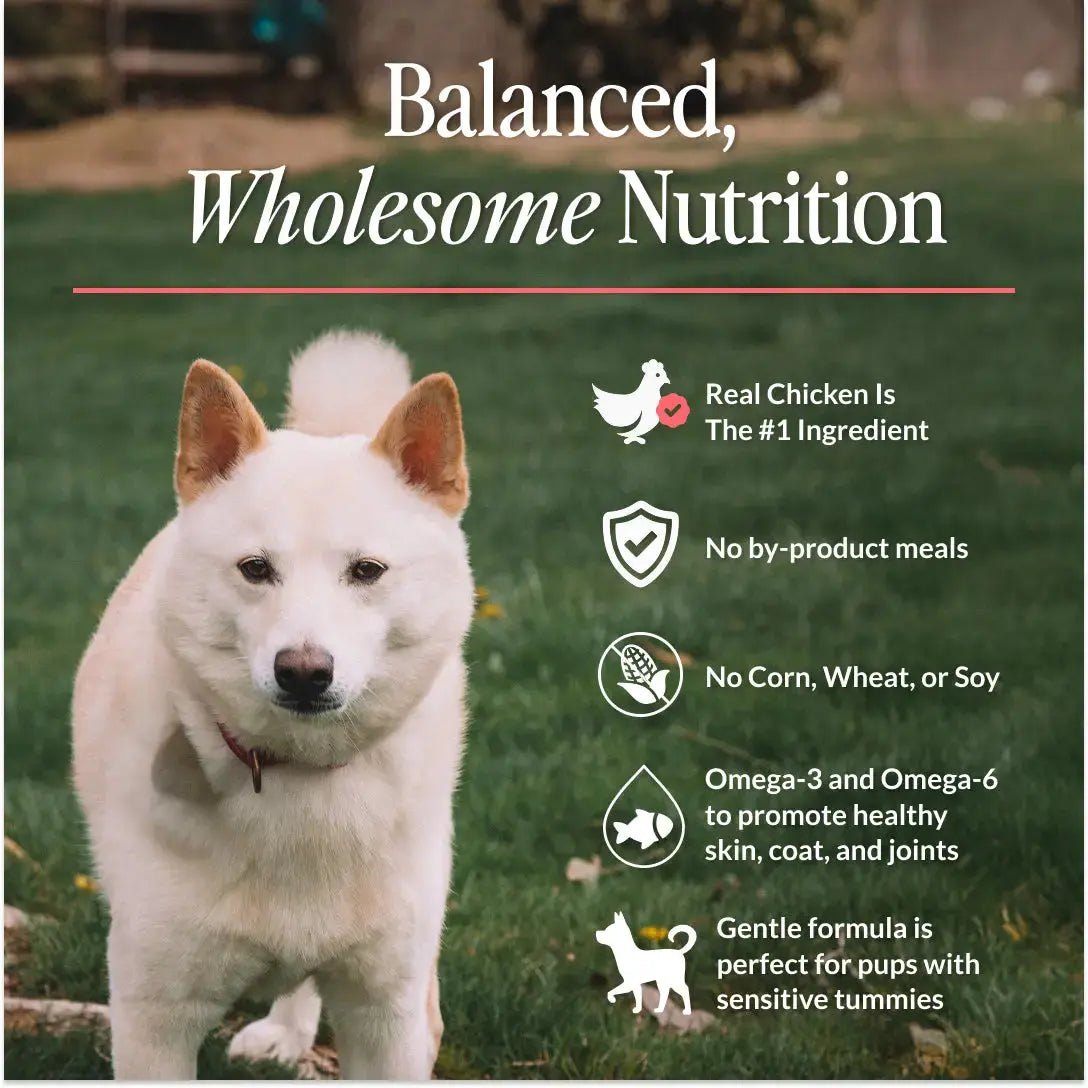 CUDDLY Chicken & Pea Grain Free Dry Dog Food CUDDLY