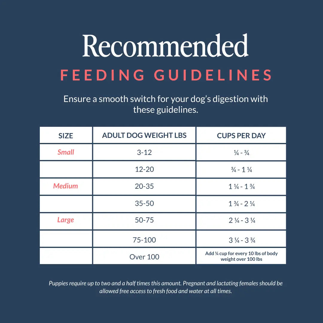 CUDDLY Chicken & Rice Dry Dog Food CUDDLY