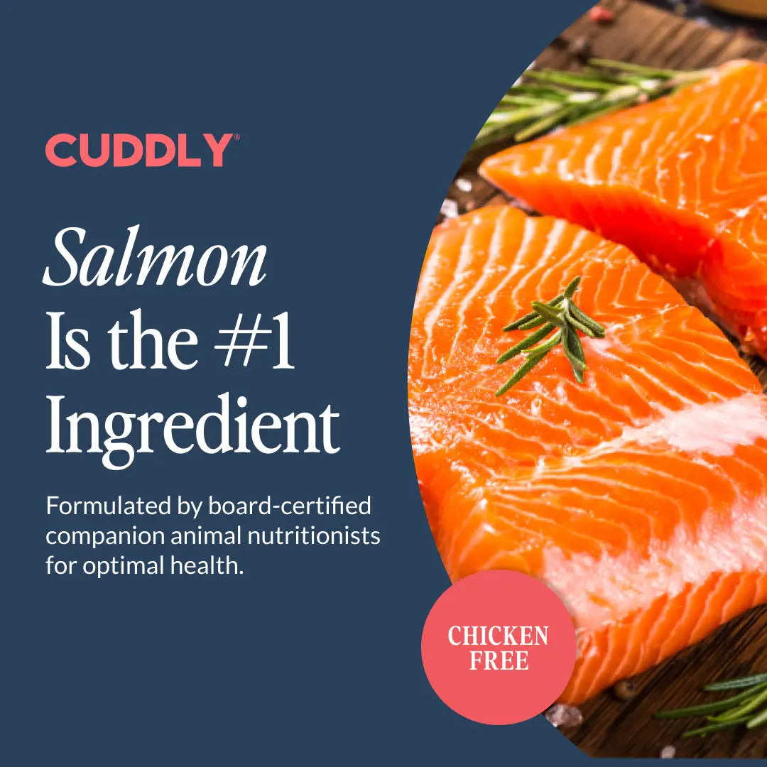 CUDDLY Salmon and Rice Dog Food CUDDLY