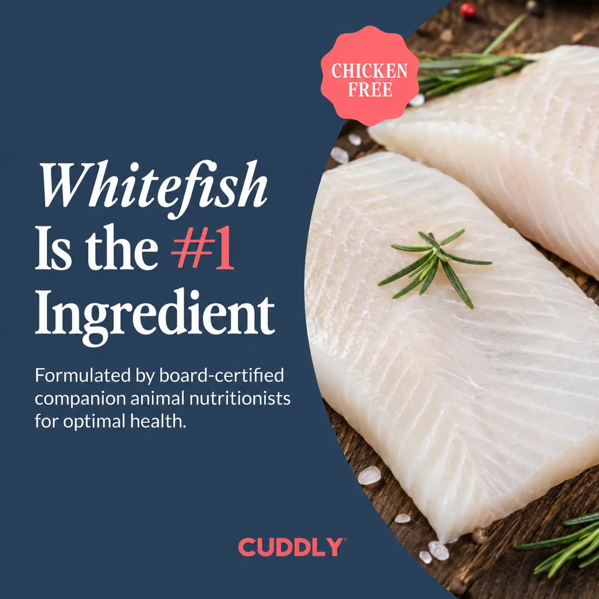 CUDDLY Seafood Medley Dry Cat Food CUDDLY