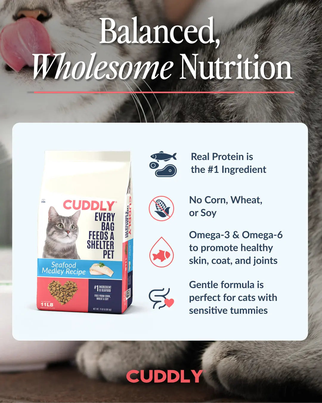CUDDLY Seafood Medley Dry Cat Food CUDDLY