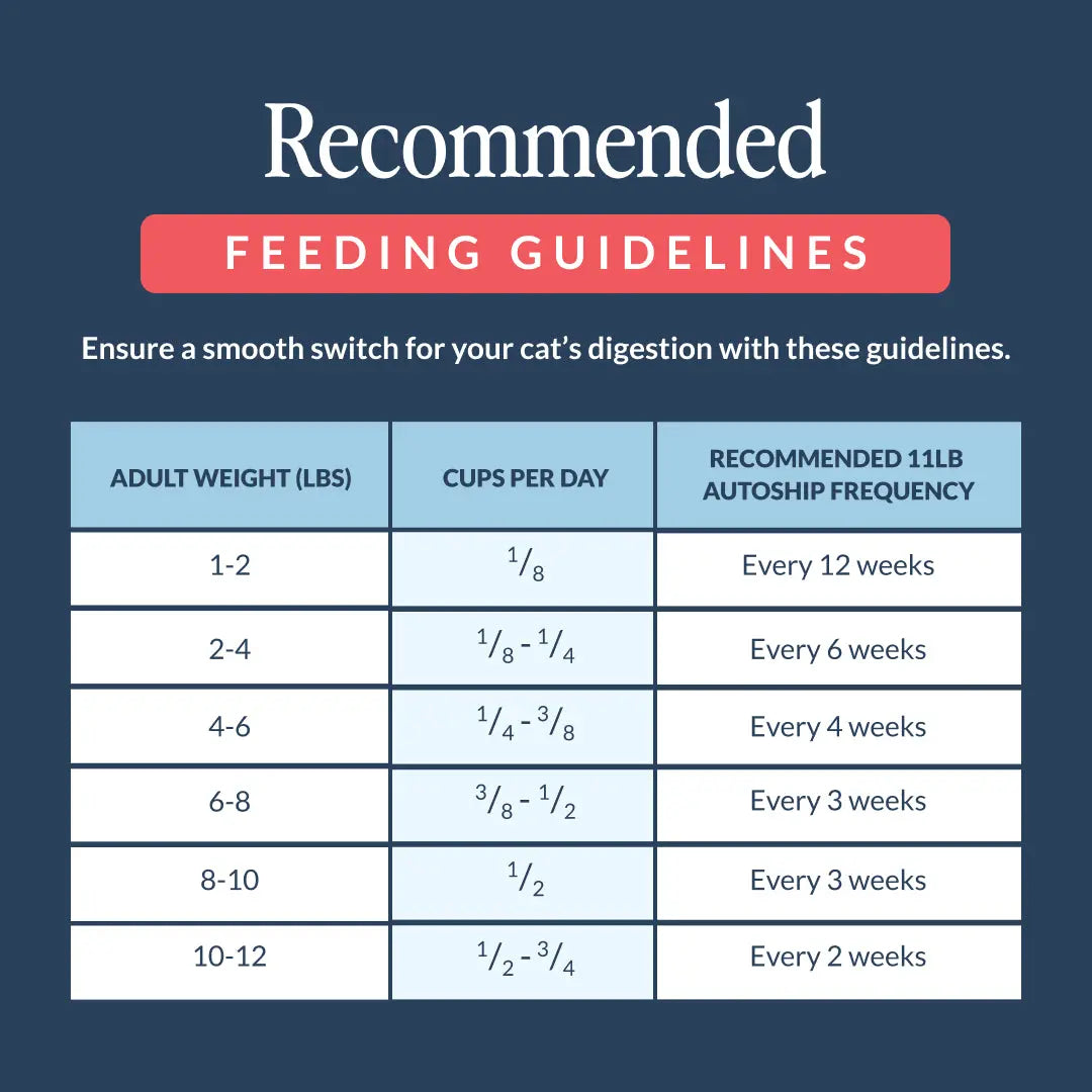 CUDDLY Seafood Medley Dry Cat Food CUDDLY