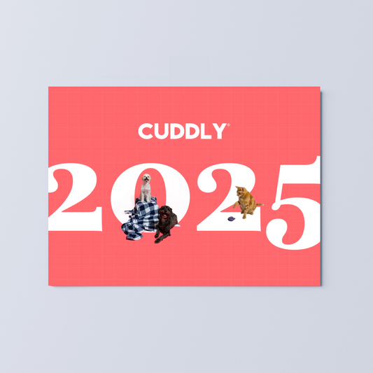 2025 CUDDLY Calendar