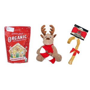 Reindeer Holiday Dog Bundle