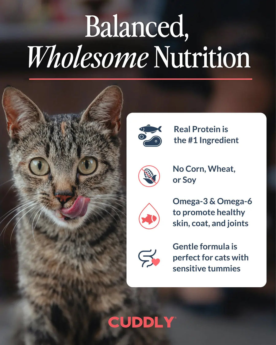 TRIAL - CUDDLY Chicken & Rice Dry Cat Food CUDDLY